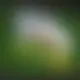 Zagraj Let It Ride z Playtech w {"id":17,"name":"Duospin","design":{"logo":"duospin-logo.K092SA.svg","favicon":"duospin-favicon.CAzjnH.png","banner_poker":"duospin-poker-OZpBPz.webp","banner_mobile":"duospin-mobile-paOkJP.webp","block_bg_color":"#411659","image_bg_color":"#1e3a8a","banner_bg_color":"#411659","block_text_color":"#ffffff","primary_bg_color":"#2A0853","banner_text_color":"#fff","footer_logos_type":"white","block_round_radius":"0","primary_text_color":"#ffffff","button_round_radius":"0","banner_welcome_bonus":"duospin-welcome-bonus-mSmeHv.webp","primary_button_bg_color":"#E32500","primary_button_text_color":"#fff","secondary_button_bg_color":"#1d4ed8","secondary_button_text_color":"#fff"},"created_at":"2025-05-14T09:25:22.000000Z","updated_at":"2025-05-14T09:25:22.000000Z"}